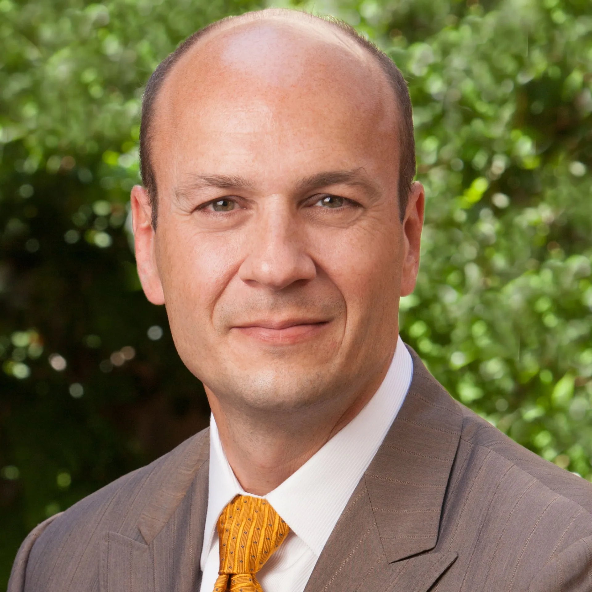 Healthcare and Scientific Expertise in the Era of Covid